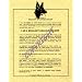 Rules In A Belgian Malinois' House