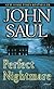 Perfect Nightmare: A Novel