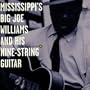 Mississippi's Big Joe Williams And His Nine-String Guitar