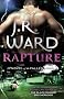Rapture: A Novel of the Fallen Angels: 4