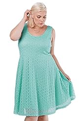Plus Size Fit-and-Flare Polyester/Spandex Sleeveless Lace Scoop Neck Party Dress 