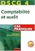 DSCG 4 - Comptabilite et audit - Cas pratiques