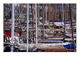 Charter Boats in Marina, Bodrum, Turkey, Sailboats & Yachts Photographic Poster Print by Peter Ptschelinzew, 40x30