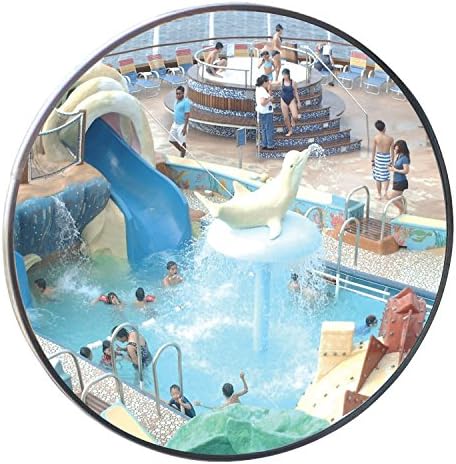 #1 Industrial Rated 26" Dia. Acrylic Outdoor Safety Swimming Pool Convex Mirror Made in the USA