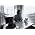 Thumbnail image of The Waterboys