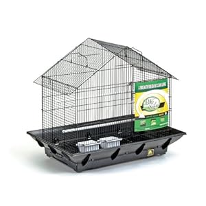 Air Squeaker Ball Small Dog Toy -- 3 Pack dog house