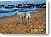 Anyone out there Canvas Print / Canvas Art - Artist John Buxton
