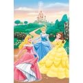Disney Princess Garden Window Posters