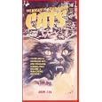 Buy Night of a Thousand Cats