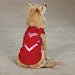 Collection Foil Tanks for Dog-xsmall