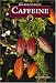 Book Caffeine (Drug Education Library)