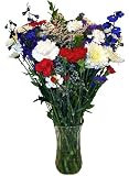 4th of July Flowers - Fresh Cut, Long Lasting Mixed Bouquet - Free, Fast Shipping - Single Bouquet