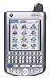Palm Tungsten W