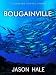Books : Bougainville, Papua New Guinea : A Concise Travel Guide