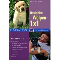 Das kleine Welpen 1 x 1