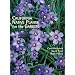California Native Plants for the Garden