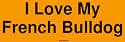 I Love My French Bulldog Large Bumper Sticker