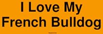 I Love My French Bulldog Large Bumper Sticker