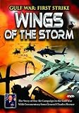 Gulf War: First Strike - Wings of the Storm