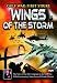 Gulf War: First Strike - Wings of the Storm