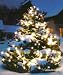 160 LED Lichterkette 