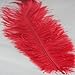 20pcs Real Natural 12-14 Inch(30~35cm) Ostrich Feathers Great Decorations (Red)