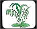 Decorated Mouse Pad with green, plant, fern