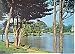 Nakajima Park Sapporo Japan Postcard