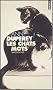 Les chats mots