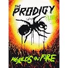 World�S On Fire (DVD+CD)