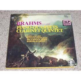 Brahms Piano-Quartets/Clarinet Quintet-3LP Box