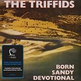 Born Sandy Devotional