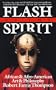 Flash of the Spirit: African & Afro-American Art & Philosophy