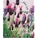 Lavendar List