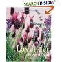 Lavender: The Grower's Guide