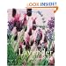 Lavender: The Grower's Guide
