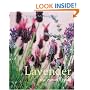Lavender: The Grower's Guide