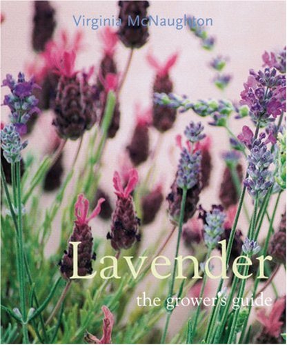 Lavender The Grower's Guide