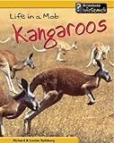 Life in a mob : kangaroos