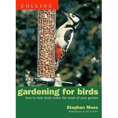 Gardening for Birds: How to help birds make the most of your garden