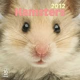 2012 Hamsters Wall calendar