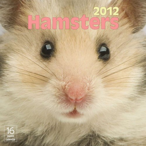2012 Hamsters Wall calendar