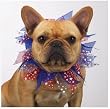 Dog Scrunchy - Aria Patriotic Dog Scrunchy - Red, White and Blue - Large