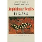 Amphibians and Reptiles in Kansas (Public Education, No 13) by Joseph T. Collins and Suzanne L. Collins