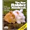 Everything About Bunny Rabbits