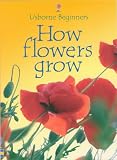 How Flowers Grow (Usborne Beginners)