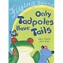 Only Tadpoles Have Tails (Flying Foxes)