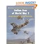 Italian Aces of World War 2 (Osprey Aircraft of the Aces)