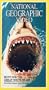National Geographic's Hunt for the Great White Shark [VHS]