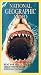 National Geographic's Hunt for the Great White Shark